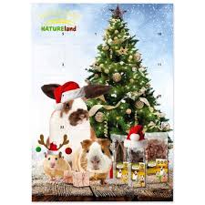 adventní kalendáře pro králíčky